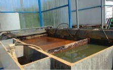  “回頭看”典型案例通報(bào)（二）丨湖北鄂州葛店開發(fā)區(qū)敷衍整改 臭氣擾民問題依然如故