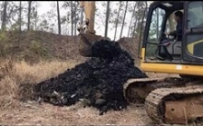  “回頭看”典型案例通報(bào)（十四）丨山東東營市20萬方危廢固廢非法填埋問題 虛假整改竟成正面典型