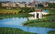  環(huán)保促發(fā)展系列報(bào)道（2）｜從“優(yōu)環(huán)境”到“強(qiáng)產(chǎn)業(yè)”再到“惠民生” 東莞市麻涌鎮(zhèn)走通綠色發(fā)展“閉環(huán)”