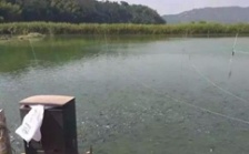  水產(chǎn)養(yǎng)殖水質(zhì)檢測標(biāo)準(zhǔn)，這五個方面讓水質(zhì)恢復(fù)清新